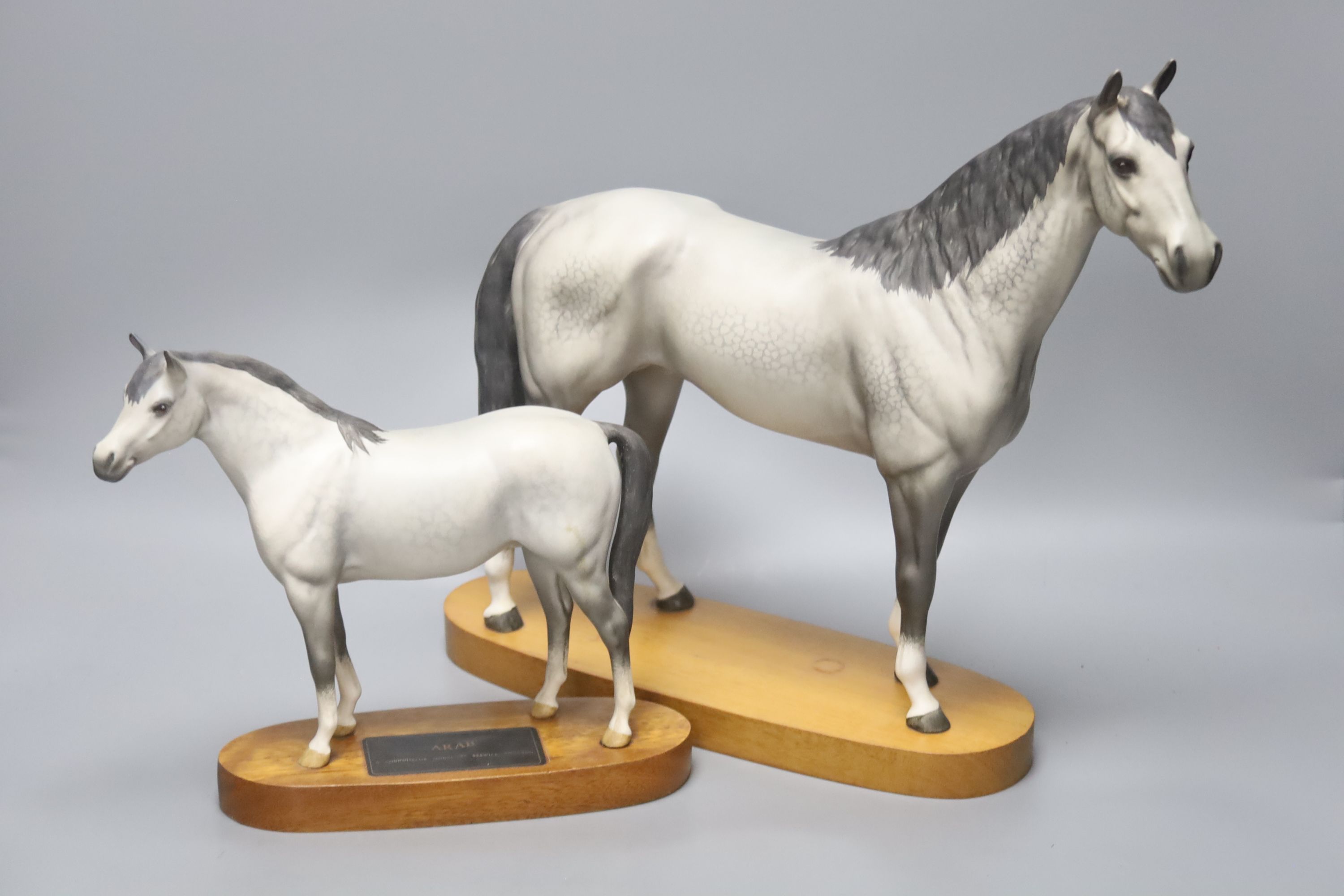 A Beswick Connoisseur Hunter and a similar Arab horse, tallest 32cm